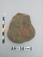 藏品(打製圓刃石斧)的圖片